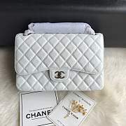 Chanel shoulder bag off-white colour with silver buckle 1113 - 1