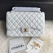Chanel shoulder bag off-white colour with gold buckle 1113 - 1