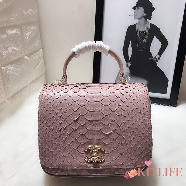 Chanel Python leather handbag with sheepskin lining &Purple colour & light gold hardware - 1