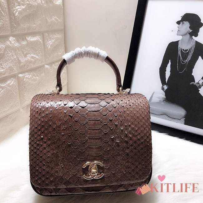 Chanel Python leather handbag with sheepskin lining &dark burgundy colour & gold hardware - 1