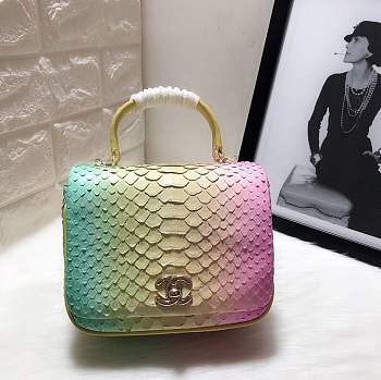 Chanel Python leather handbag with sheepskin lining &Rainbow color &light gold hardware