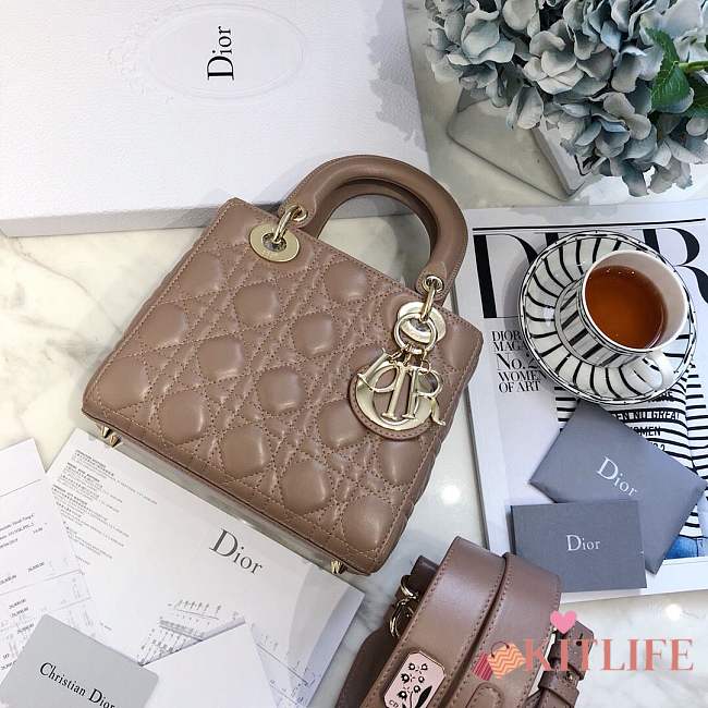  Lady Dior bag in Khaki color cannage lambskin with badge &gold hardware - 1
