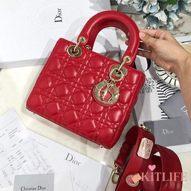 Lady Dior bag in red color cannage lambskin with badge &Gold hardware - 1