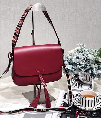 Dior 2019 Early Spring Series Embroidery Red color Saddle bag