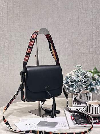 Dior 2019 Early Spring Series Embroidery Black color Saddle bag