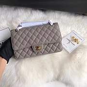 Chanel caviar calfskin leather 2.55 Flap gray Bag 1112 - 6