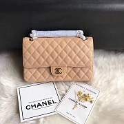 Chanel calfskin caviar leather 2.55 Flap Beige Bag 1112 - 1