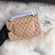 Chanel calfskin caviar leather 2.55 Flap Beige Bag 1112 - 2