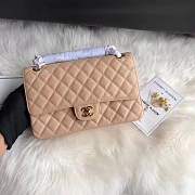 Chanel calfskin caviar leather 2.55 Flap Beige Bag 1112 - 3