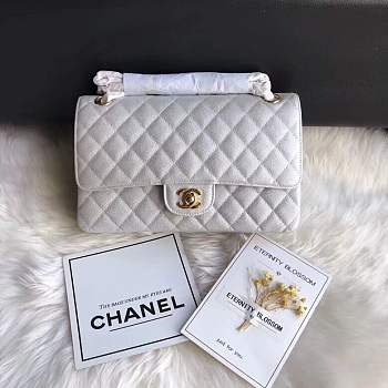 Chanel calfskin caviar leather 2.55 Flap silver Bag 1112