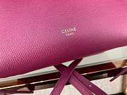 forubags celine NANO BELT BAG IN GRAINED CALFSKIN 175519 - 4