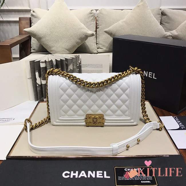 Chanel Medium Quilted lambskin leboy Bag in white & silver/gold hardware 67086 - 1