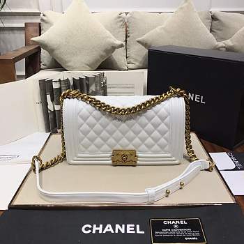 Chanel Medium Quilted lambskin leboy Bag in white & silver/gold hardware 67086