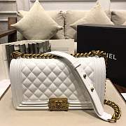 Chanel Medium Quilted lambskin leboy Bag in white & silver/gold hardware 67086 - 6