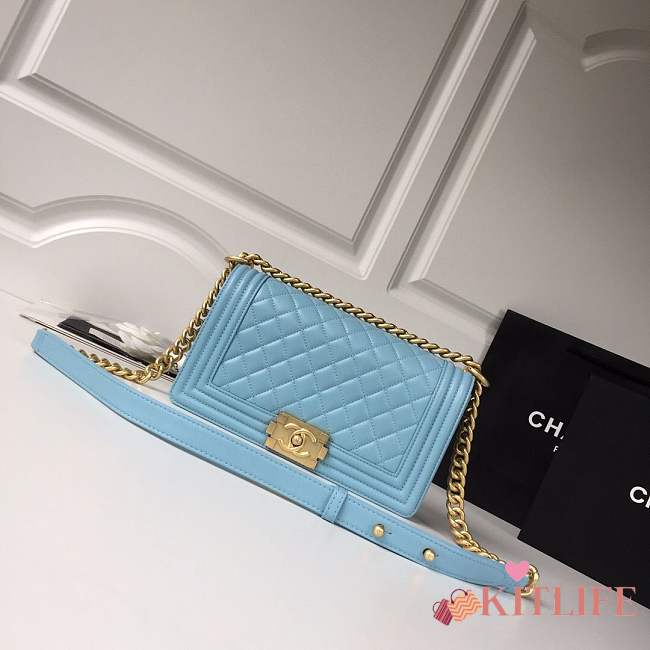 Chanel Medium Quilted lambskin LeBoy Bag in light blue & silver/gold hardware 67086 - 1
