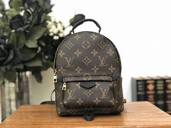 Forubags Louis Vuitton Palm Springs Mini Backpack M41562