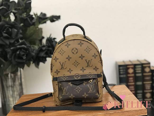 Forubags Louis Vuitton Palm Springs Mini Backpack M42411 - 1