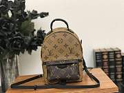 Forubags Louis Vuitton Palm Springs Mini Backpack M42411 - 1