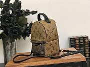 Forubags Louis Vuitton Palm Springs Mini Backpack M42411 - 4