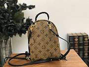 Forubags Louis Vuitton Palm Springs Mini Backpack M42411 - 2