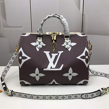 LV Speedy 30 Monogram M40391