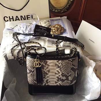 Forubags Chanel Gabrielle Bag python Print