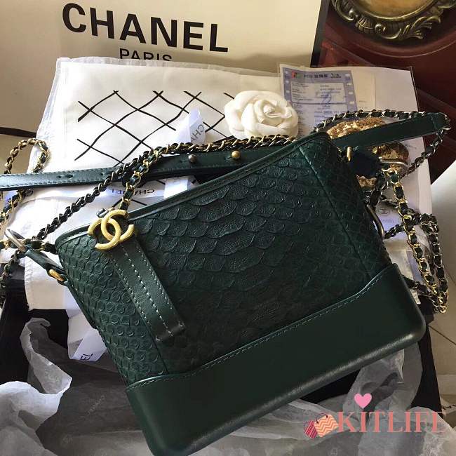 Forubags Chanel Gabrielle python Bag Green - 1