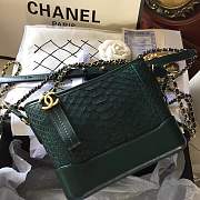 Forubags Chanel Gabrielle python Bag Green - 1