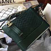 Forubags Chanel Gabrielle python Bag Green - 3