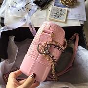 Forubags Chanel Gabrielle python Bag Pink - 4