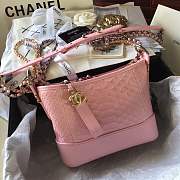 Forubags Chanel Gabrielle python Bag Pink - 1