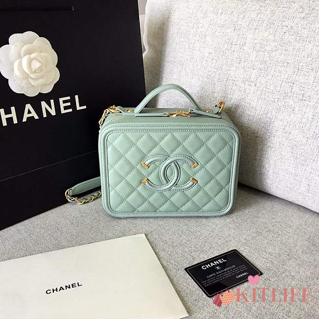 Forubags Chanel Cosmetic Bag Medium Size in Mint color - 1