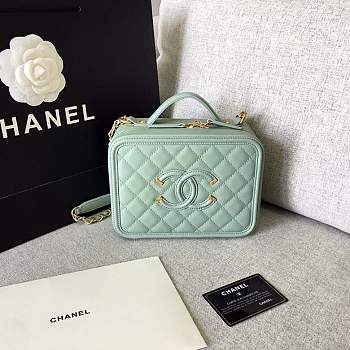 Forubags Chanel Cosmetic Bag Medium Size in Mint color