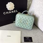 Forubags Chanel Cosmetic Bag Medium Size in Mint color - 6