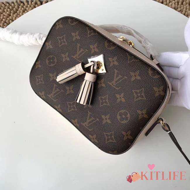 Louis Vuitton Monogram SAINTONGE M43559 - 1