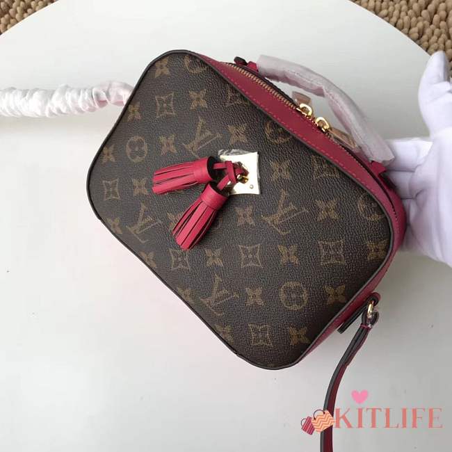 Louis Vuitton Monogram SAINTONGE M43557 - 1