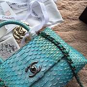 forubags chanel bag python-25-15-12cm - 4