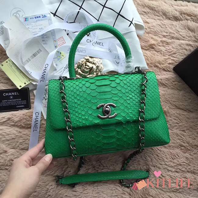 forubags chanel python bag green - 1