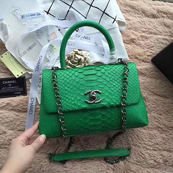 forubags chanel python bag green