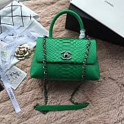 forubags chanel python bag green - 6