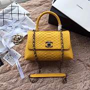 forubags chanel python bag yellow - 1