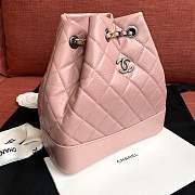 Forubags Chanel Gabrielle Backpack 94485# pink - 3