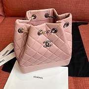 Forubags Chanel Gabrielle Backpack 94485# pink - 4