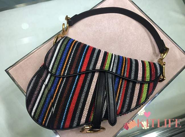 Dior Saddle Embroidered rainbow beads - 1