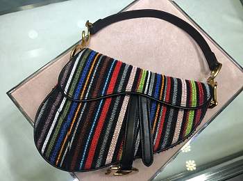 Dior Saddle Embroidered rainbow beads