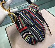 Dior Saddle Embroidered rainbow beads - 2