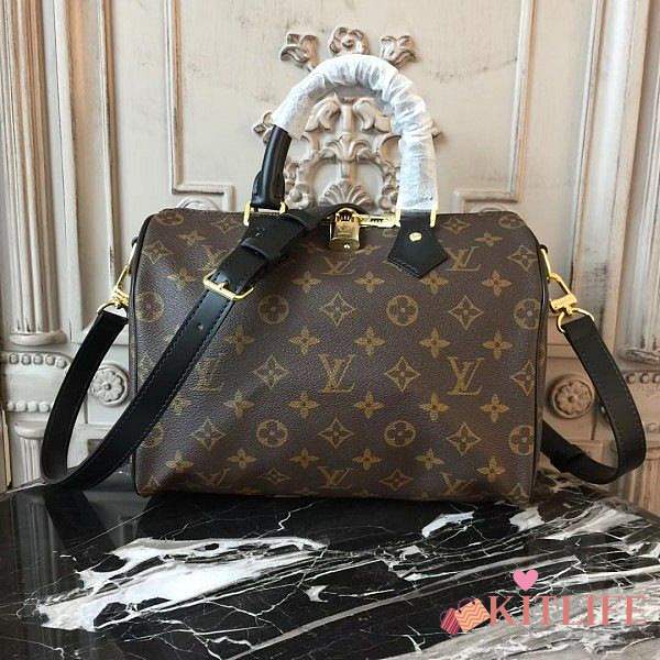 Forubags Louis Vuitton SPEEDY 25 - 1