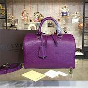 FORUBAGS LOUIS VUITTON SPEEDY 30 3116 - 1