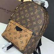 Forubags Louis Vuitton PALM SPRINGS BACKPACK PM M43116 - 5
