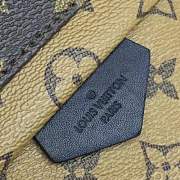 Forubags Louis Vuitton PALM SPRINGS BACKPACK PM M43116 - 4